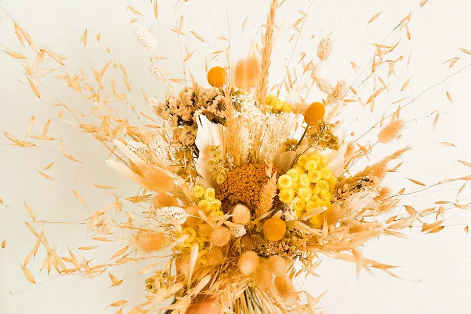 Falconieri Jessy — photo 4