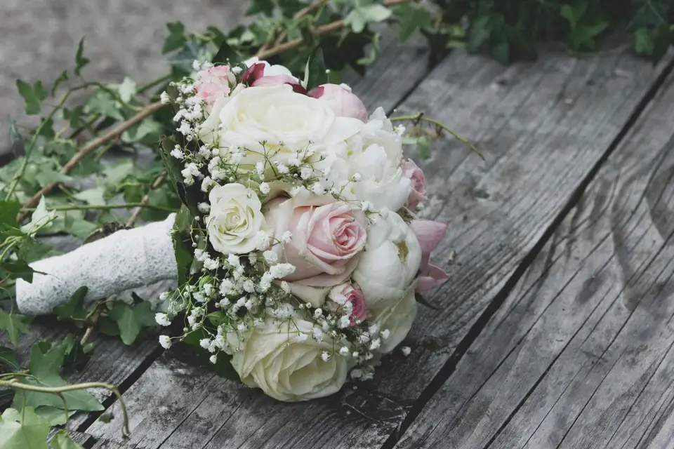 SNK Studio — photo 4