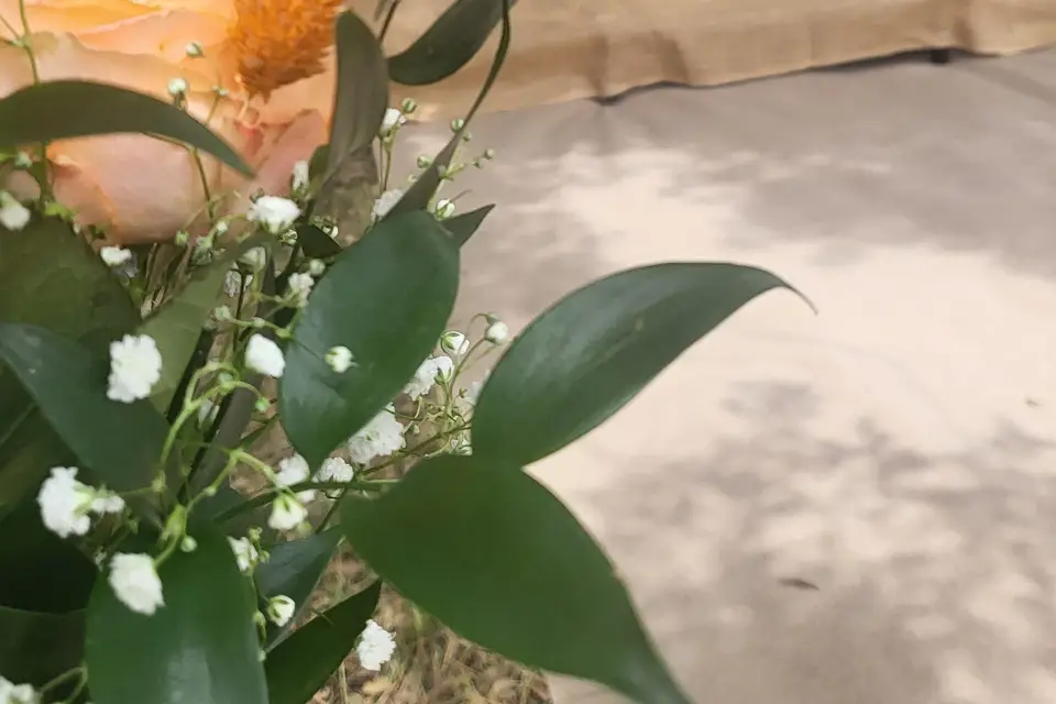 Maison Myya — photo 4