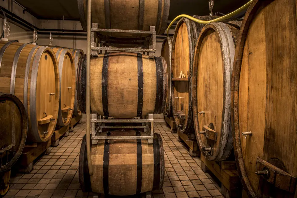 Domaine Bott-Geyl — photo 8