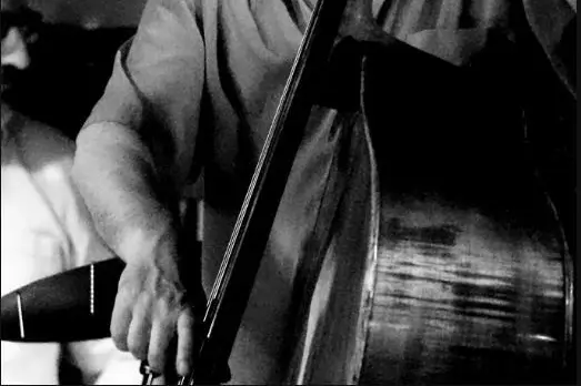 Fred Cruveiller and the Backwash Band — photo 3