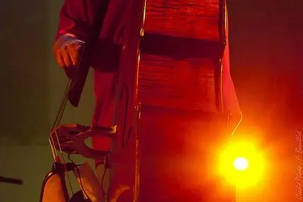 Fred Cruveiller and the Backwash Band — photo 5