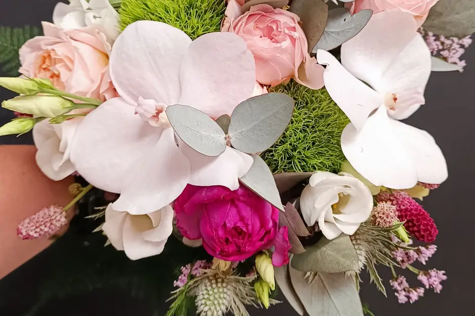 Passion végétale — photo 2