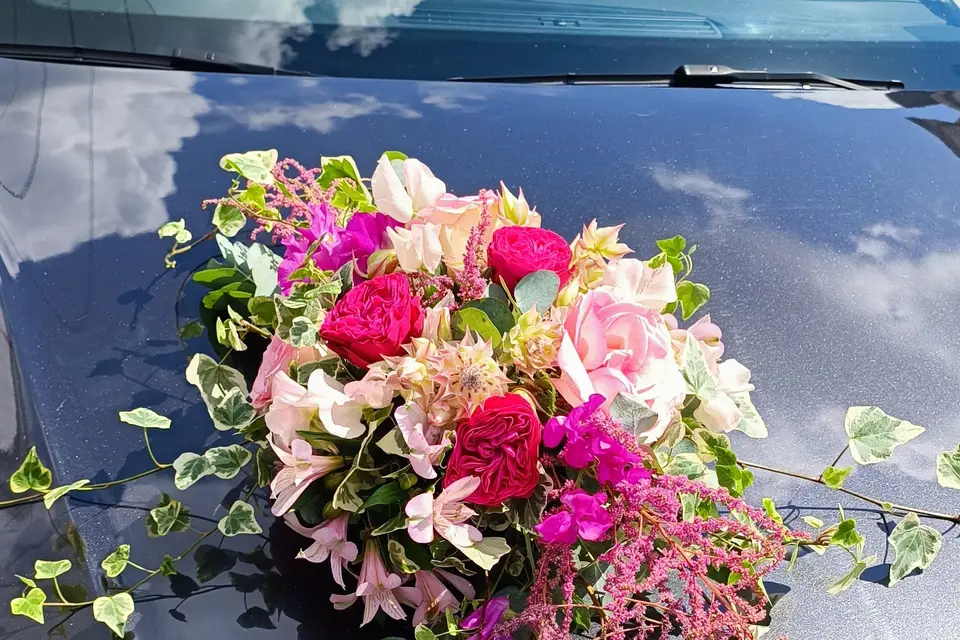 Passion végétale — photo 8