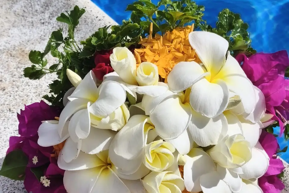 Passion végétale — photo 6