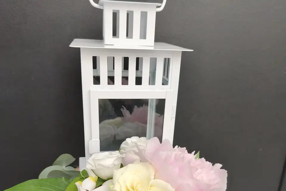 Passion végétale — photo 3