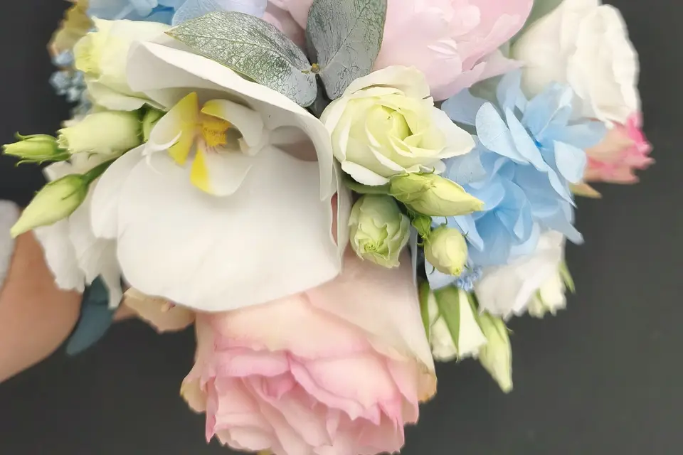 Passion végétale — photo 1