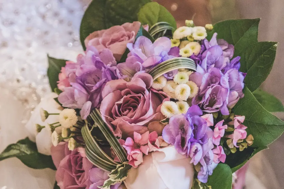 Jérôme Bezard — photo 3