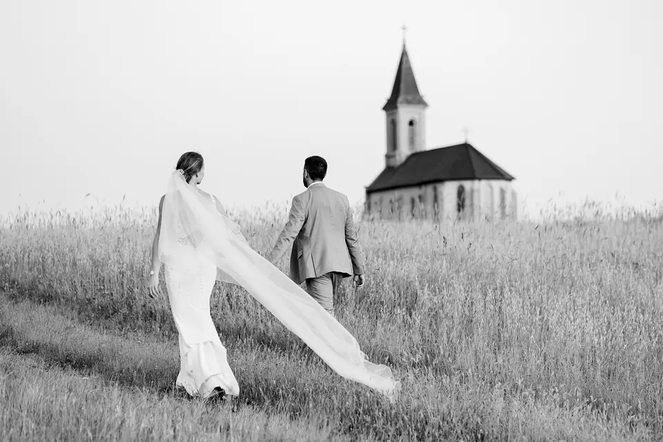 Lilium Eleven — photo 2