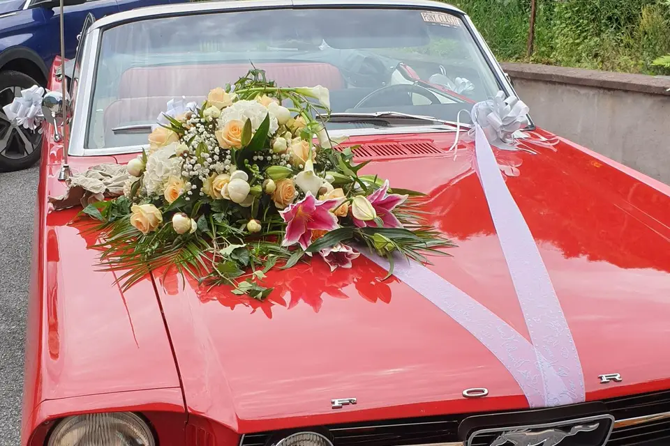 Le Lys Blanc — photo 3