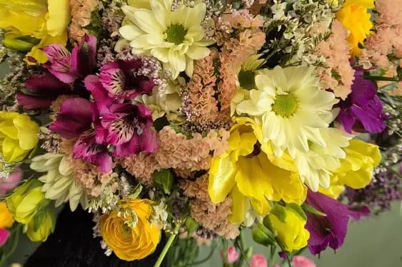 Des fleurs etc — photo 6