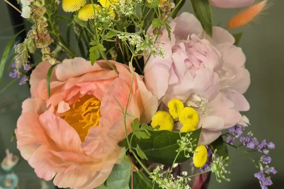 Des fleurs etc — photo 2