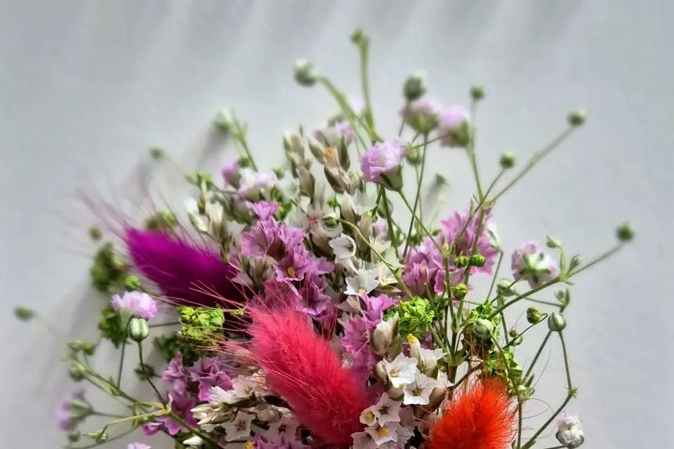 Des fleurs etc — photo 3