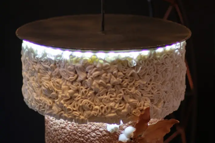 Rêves et Gâteaux — photo 3