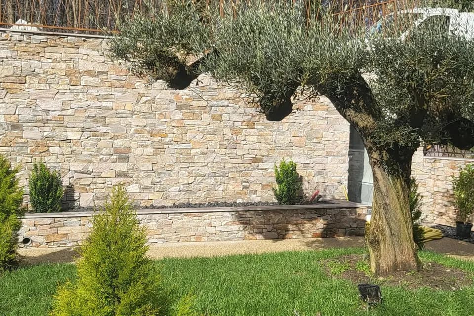 Le Chanelya — photo 5