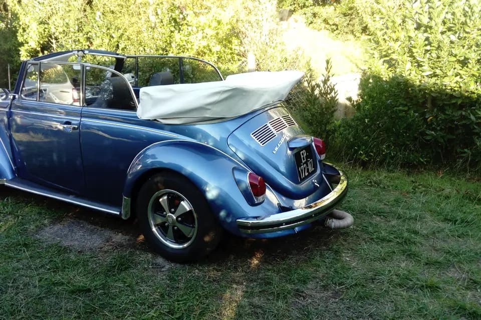 Loc Cox Cab — photo 1