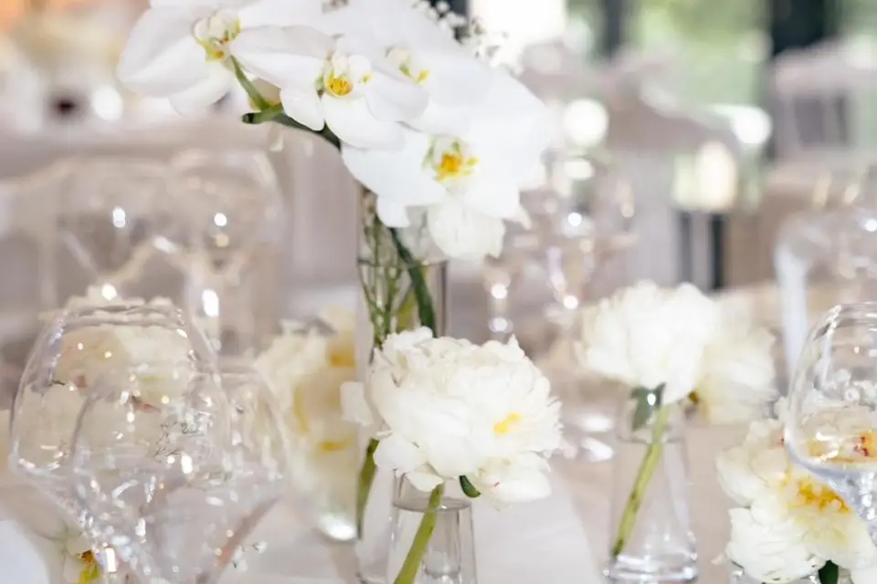 Kryssevents — photo 2