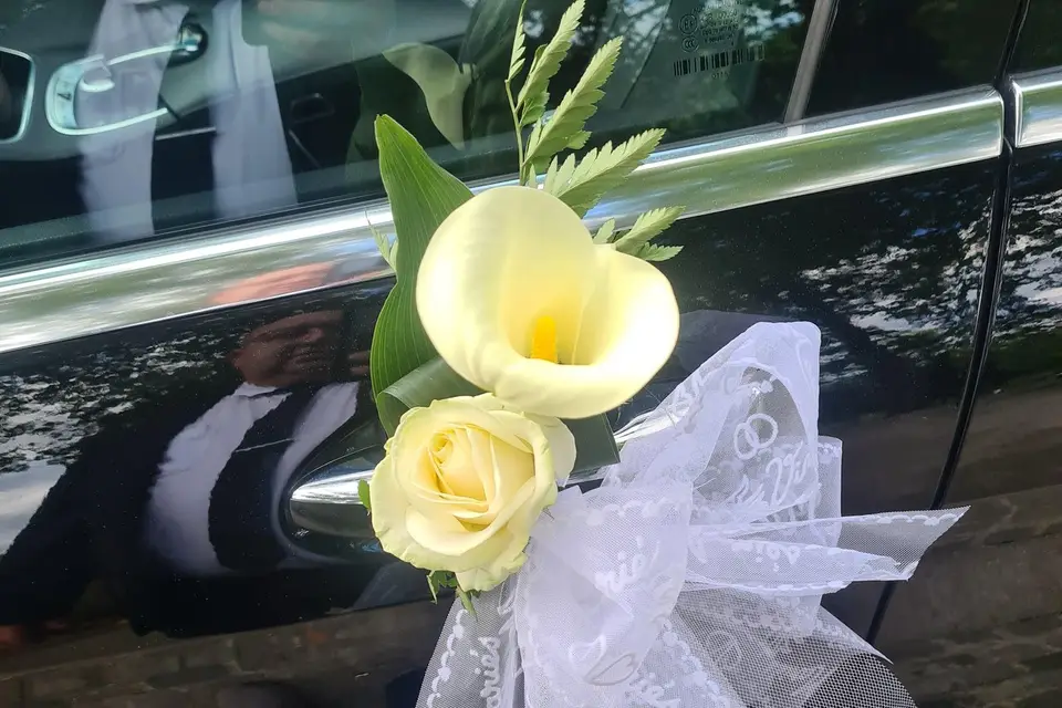 DNTM Concept — photo 7