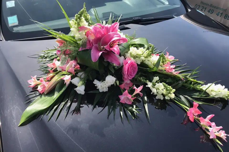 DNTM Concept — photo 6