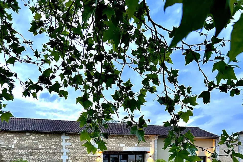 Domaine de la Fontchaudière — photo 8