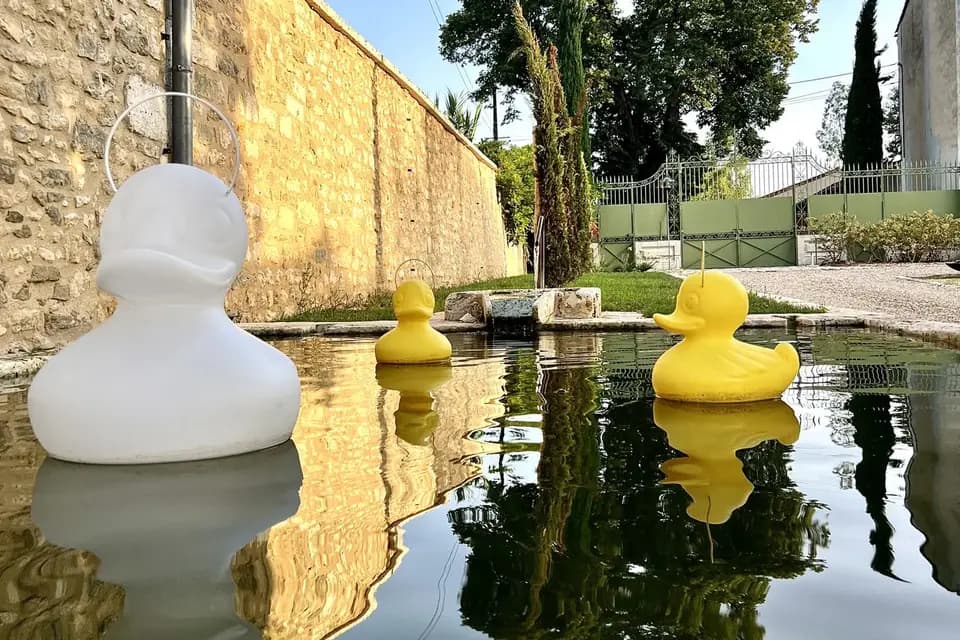 Domaine de la Fontchaudière — photo 5