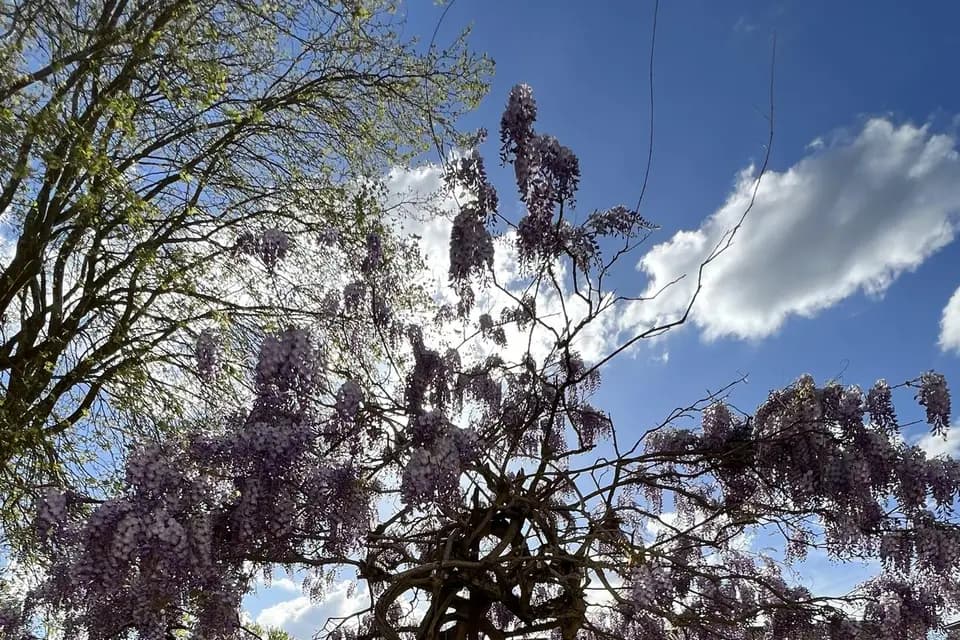 Domaine de la Fontchaudière — photo 3