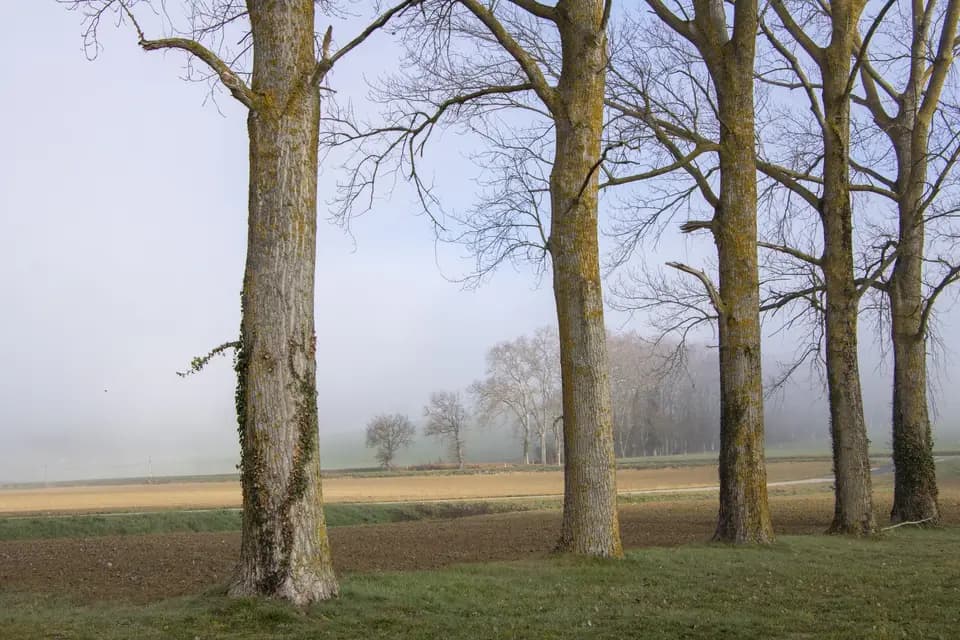 Château de Bellières — photo 7