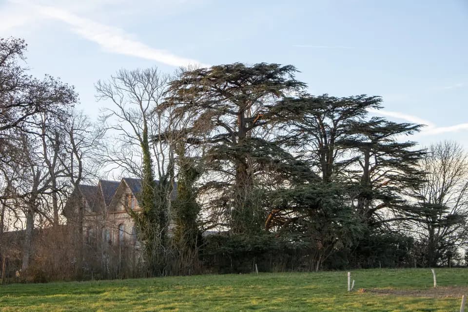 Château de Bellières — photo 5