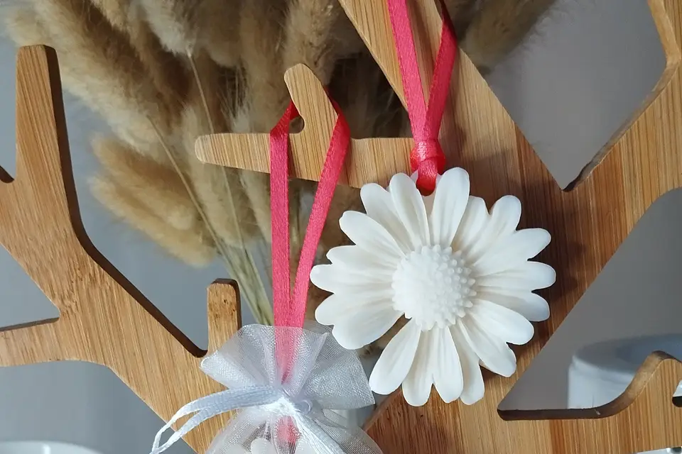 Envolée Bretonne — photo 8