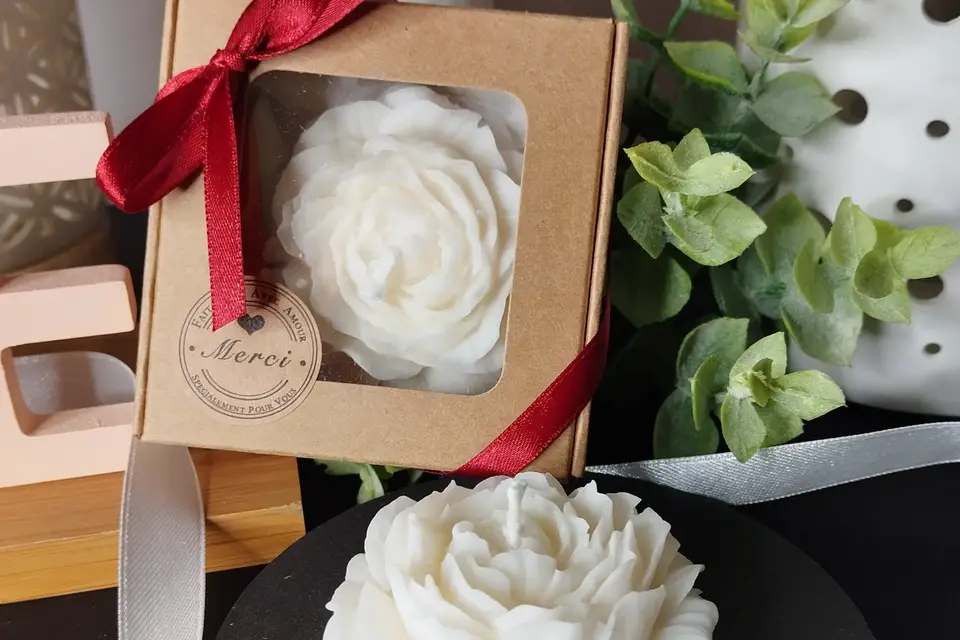 Envolée Bretonne — photo 2