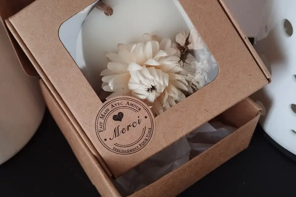 Envolée Bretonne — photo 3