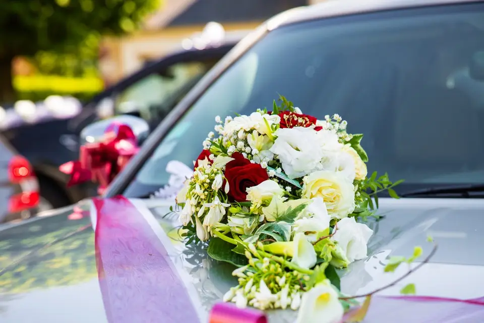 Elric Chapelon — photo 2