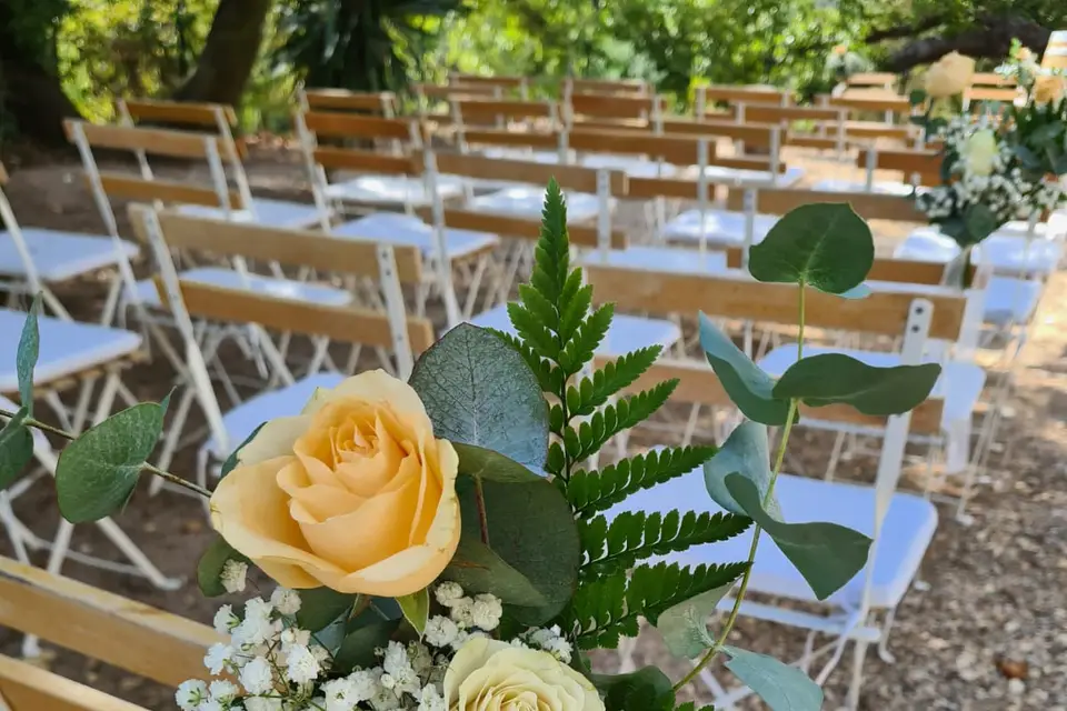 T.amoeventi — photo 8