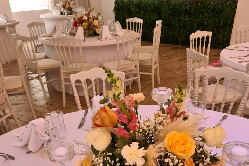 T.amoeventi — photo 5