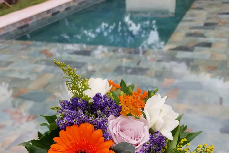 T.amoeventi — photo 1