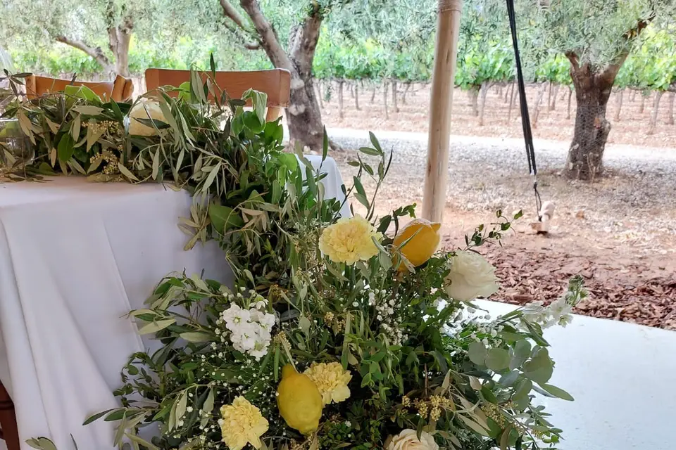 T.amoeventi — photo 2