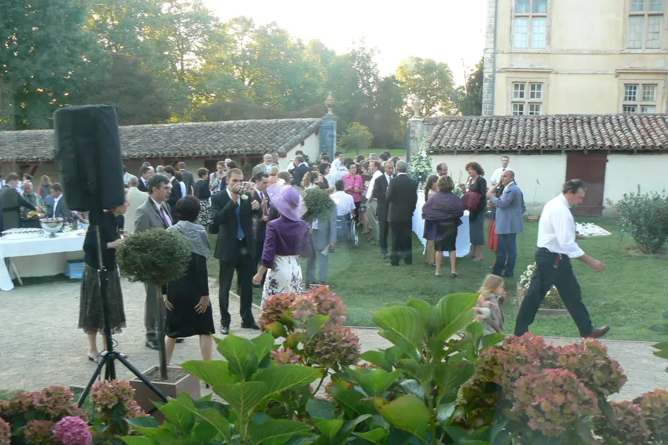 Steef Line Sono — photo 6