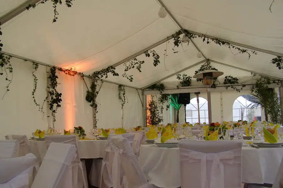 Steef Line Sono — photo 2