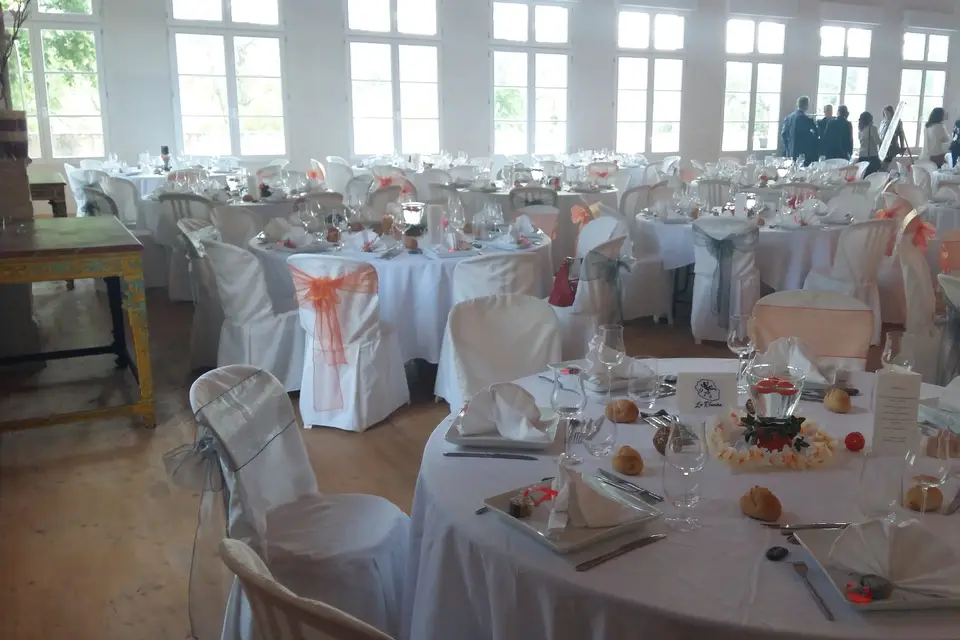 Go Animations — photo 8