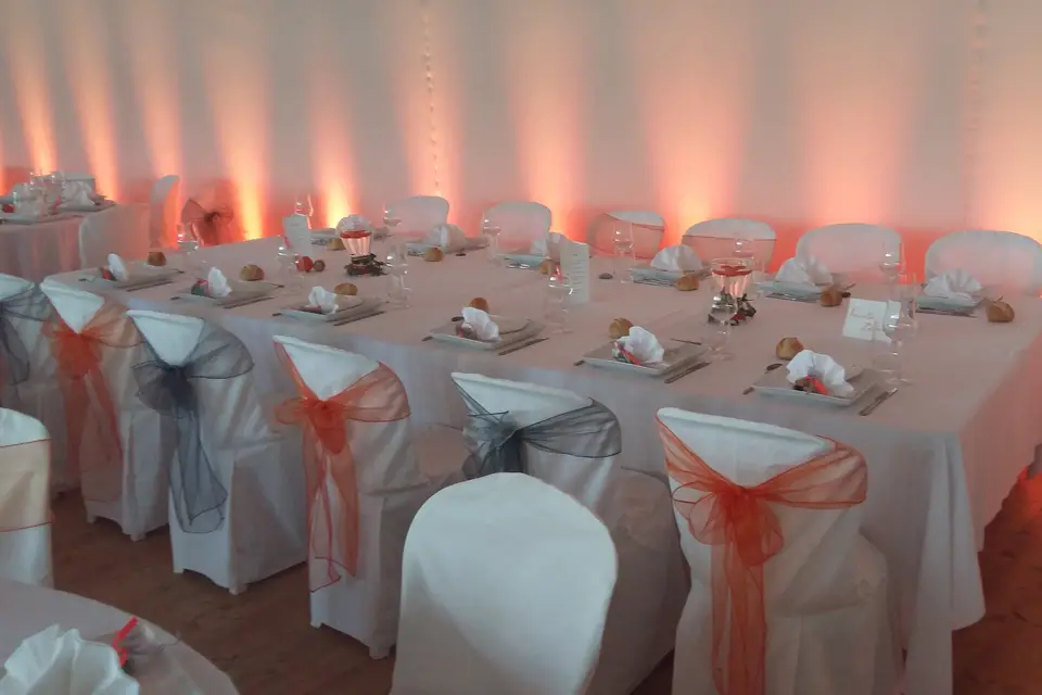 Go Animations — photo 3