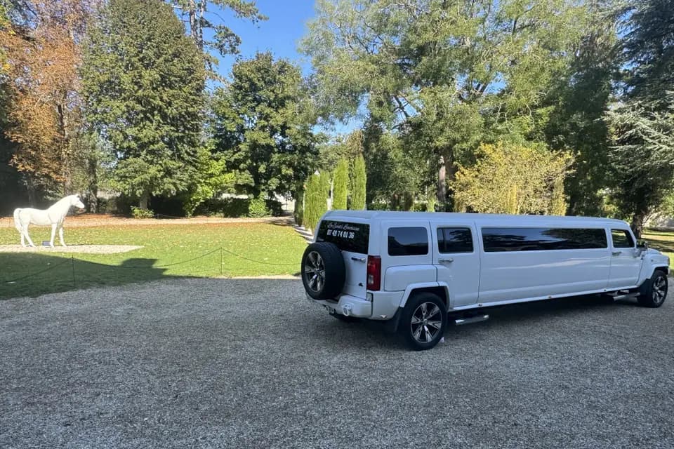 Loc Events Limousine — photo 3