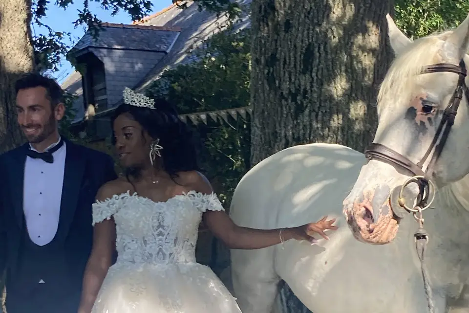 Domaine du Moulin du Bois — photo 7