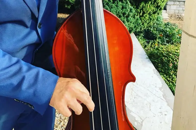 Cat Jazz Trio — photo 3