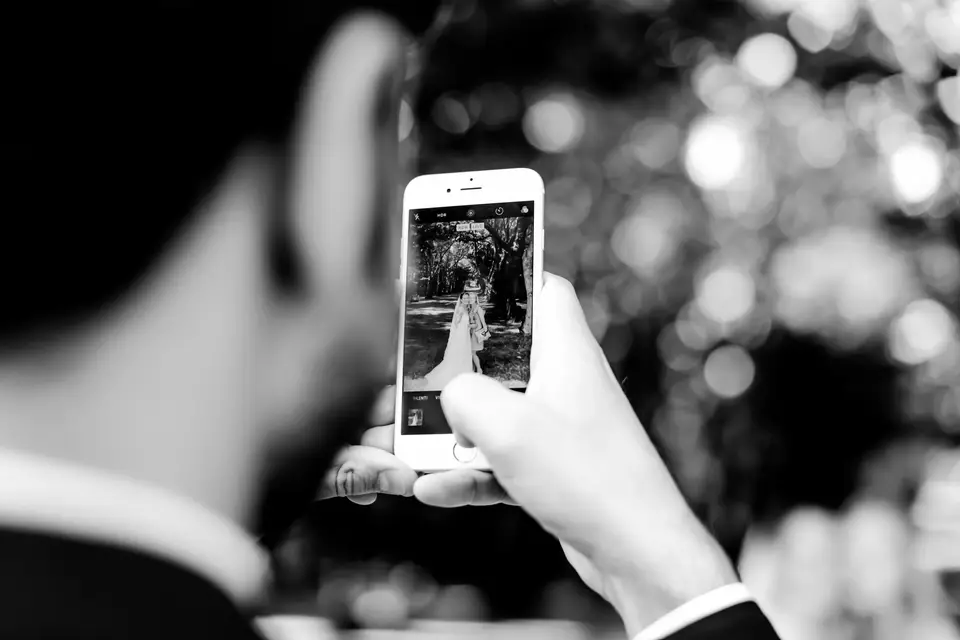 Château de la Pigossière — photo 3