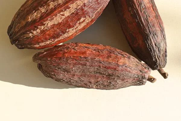 Fleurs Accessoires — photo 3