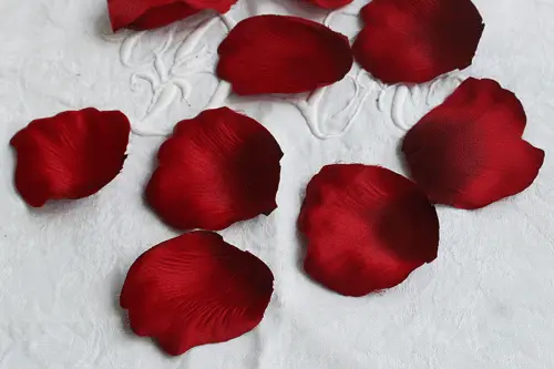 Fleurs Accessoires — photo 5