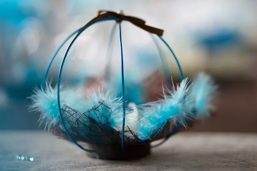 Francois Mousset — photo 2