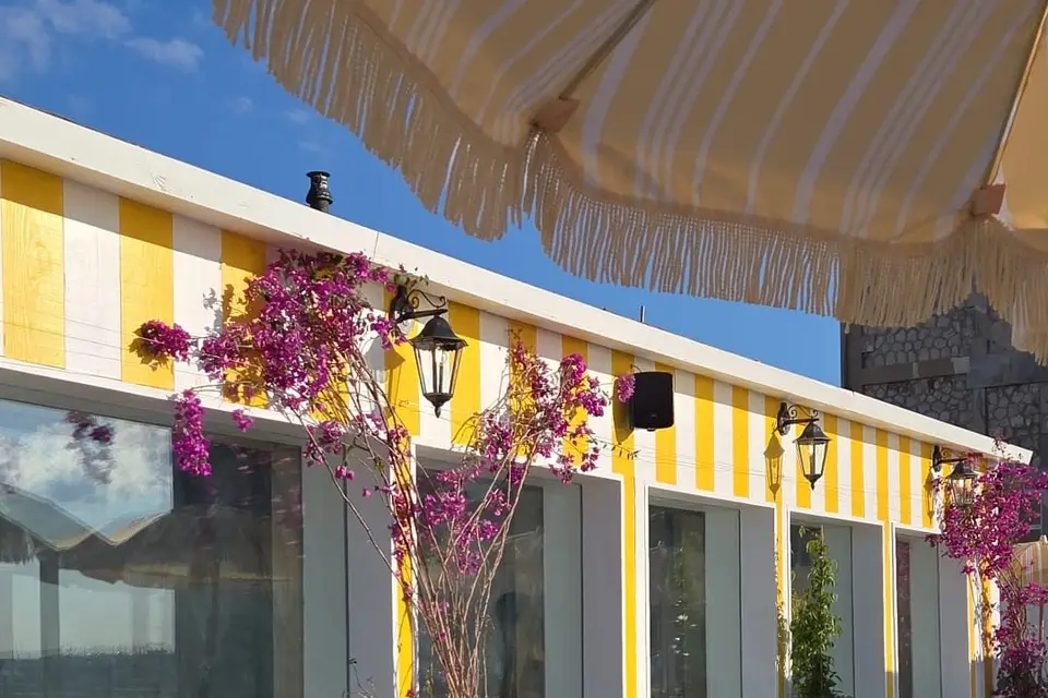 Le Newport — photo 7