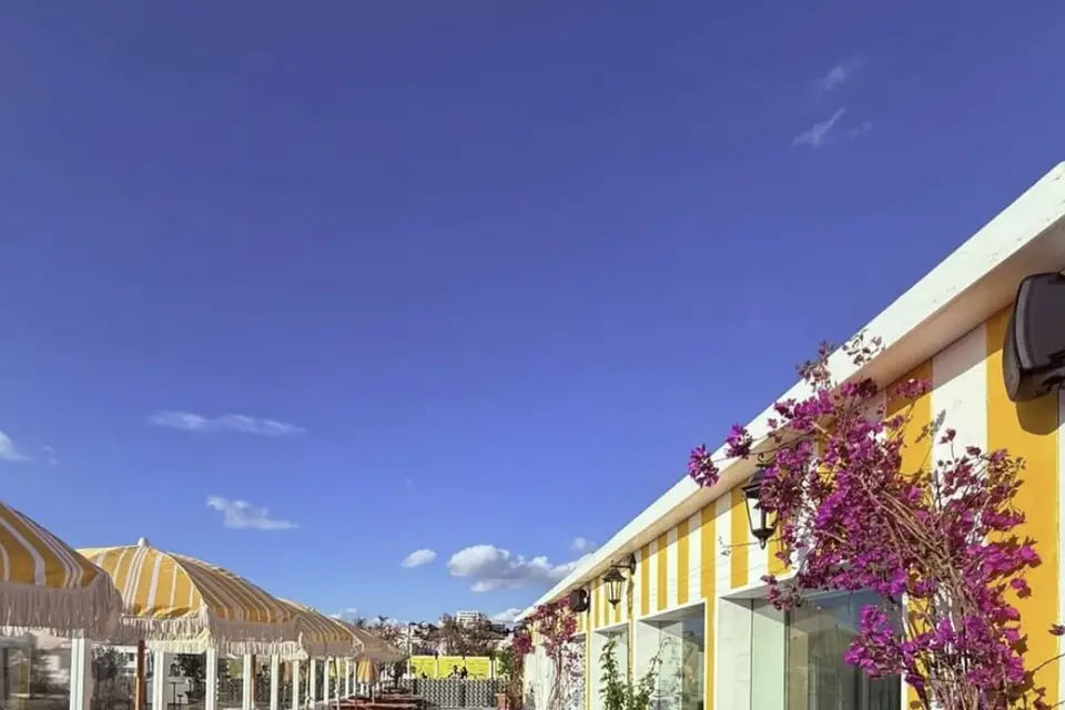 Le Newport — photo 3