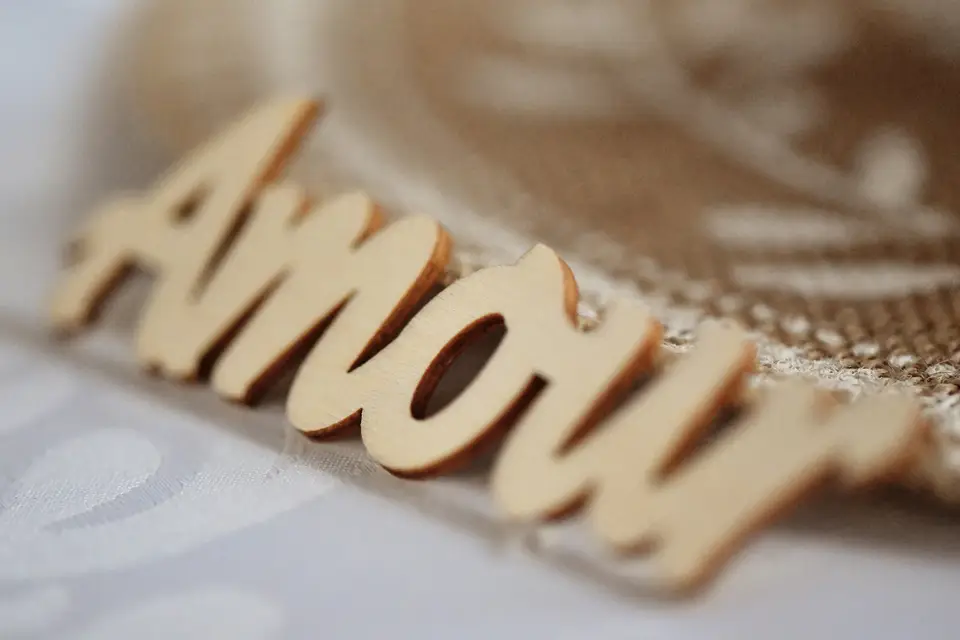 Caméléon Photographies — photo 2